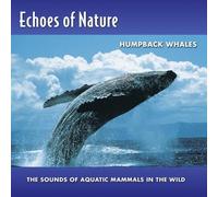 Various Artists - Humpback Whales: Echoes of Nature 13