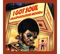 Various Artists - I Got Soul Blaxploitation Mood (LP) [VINYL]