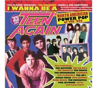 VARIOUS ARTISTS - I WANNA BE A TEEN AGAIN - AMERICAN POWER POP 1980-1989 3CD CLAMSHELL BOX