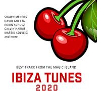 Various Artists - Ibiza Tunes 2020 (2cd)