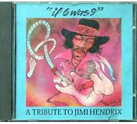 Various Artists - If 6 Was 9: Tribute to Hendrix