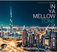 VARIOUS ARTISTS - In Ya Mellow Tone 13