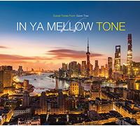VARIOUS ARTISTS - In Ya Mellow Tone 14