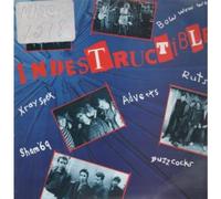 Various Artists - Indestructible [Vinyl LP] [VINYL]