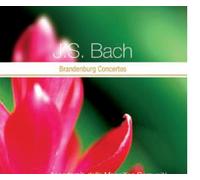 Various Artists - J. S. Bach: Brandenburg Concertos