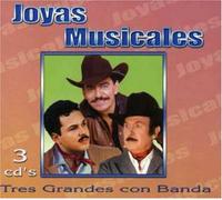 Various Artists - Joyas Musicales: Coleccion De Oro 2