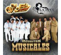 Various Artists - K-Paz De La Sierra Encuentros Musicales [Us Import]