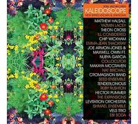 Various Artists : Kaleidoscope: New Spirits Known & Unknown VINYL Deluxe 12"