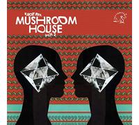 Various Artists - Kapote Pres. Mushroom House Vol 2 [VINYL]