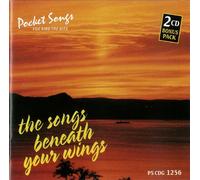 Various Artists - Karaoke: Beneath Your Wings