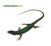 Various Artists - Las Salinas 2005