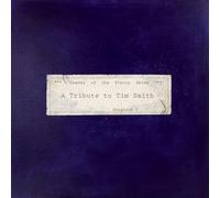 Various Artists - Leader of the Starry Skies - A Tribute to Tim Smith [VINYL]