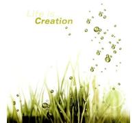 Various Artists - Life Is...Creation