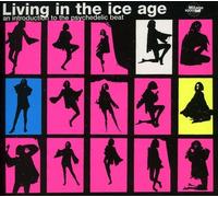 Various Artists - Living in the Ice Age Vol.1