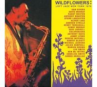 Various Artists - Loft Jazz New York 1976