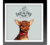 Various Artists - Lost My Dog 10 x 10 - 2005