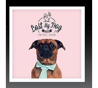 Various Artists - Lost My Dog 10 x 10 - 2006