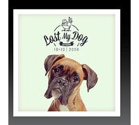 Various Artists - Lost My Dog 10x10 - 2008