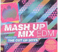 Various Artists - Mash Up Mix EDM