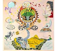VARIOUS ARTISTS - MAYBE IM DREAMING - Vinyl Record 12 RECORD - 14 - F123z