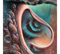 Various Artists - Meddle Reimagined - A Tribute To Pink Floyd