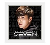 various artists - MINI ALBUM(PHOTO BOOKELT + YG FAMILY CARD) SE7EN