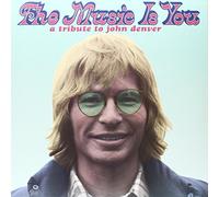 VARIOUS ARTISTS - MUSIC IS YOU TRIBUTE TO JOHN DENVER / VAR - Vinyl Rec - G3z