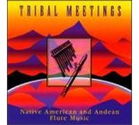 Various Artists - Native American & Andean Flute
