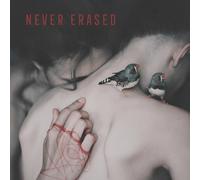 VARIOUS ARTISTS - NEVER ERASED - Vinyl Record - K72z