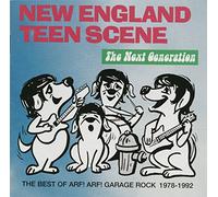 Various Artists - New England Teen Scene Next Generation