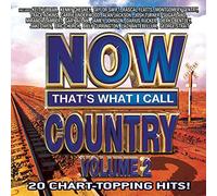 Various Artists - Now That's What I Call Country, Vol. 2