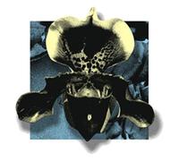 Various Artists - Nowhere02