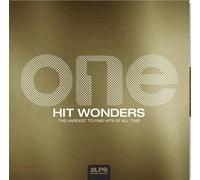 Various Artists - One Hit Wonders: The Hardest To Find Hits Of All Time [VINYL]