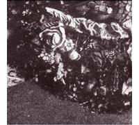 Various Artists - Orange Twin Field Works