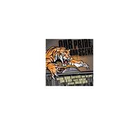 Various Artists - Our Pride Our Scene