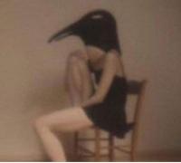 Various Artists - Penguin Cafe Orchestra - Tribute