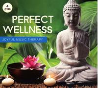 Various Artists - Perfect Wellness