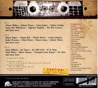 VARIOUS ARTISTS - PLUG IT IN TURN IT UP ELECTRIC BLUES - THE DEFINITIVE COLLEC