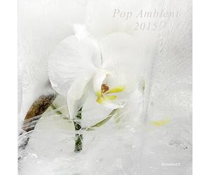 Various Artists - Pop Ambient 2015