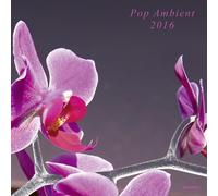 Various Artists - Pop Ambient 2016