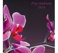 Various Artists - Pop Ambient 2016