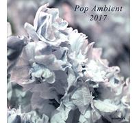 Various Artists - Pop Ambient 2017