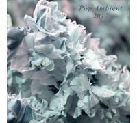 VARIOUS ARTISTS - POP AMBIENT 2017 NEW CD