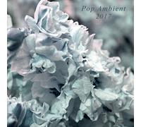 Various Artists - Pop Ambient 2017 [VINYL]
