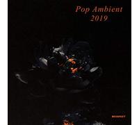 Various Artists - Pop Ambient 2019