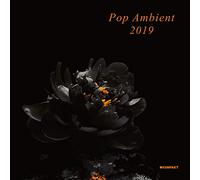 Various Artists - Pop Ambient 2019 [VINYL]