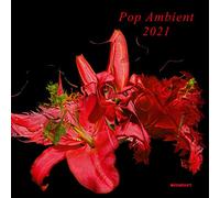 Various Artists - Pop Ambient 2021