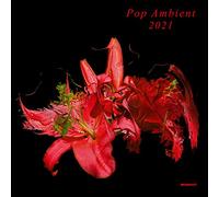 Various Artists - Pop Ambient 2021 [VINYL]