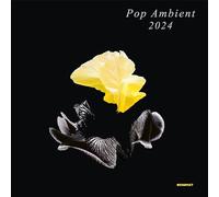 Various Artists - Pop Ambient 2024