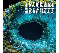 Various Artists - Primary Forest 03 [Vinyl LP] [VINYL]